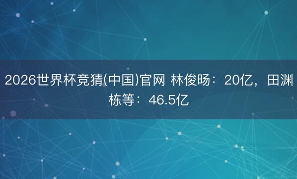2026世界杯竞猜(中国)官网 林俊旸：20亿，田渊栋等：46.5亿