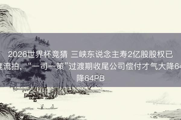 2026世界杯竞猜 三峡东说念主寿2亿股股权已六度流拍，“一司一策”过渡期收尾公司偿付才气大降64PB