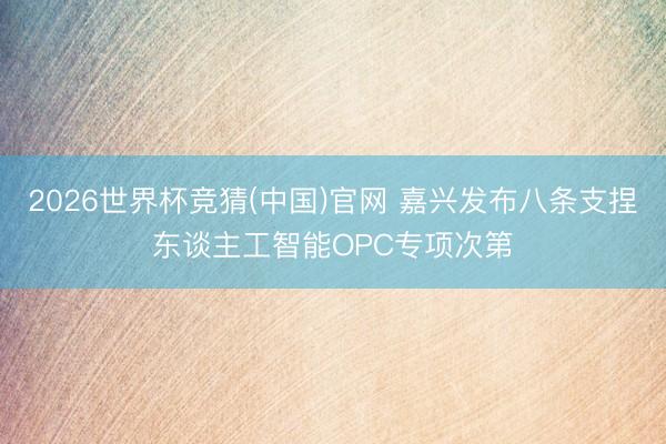 2026世界杯竞猜(中国)官网 嘉兴发布八条支捏东谈主工智能OPC专项次第