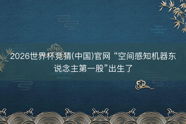 2026世界杯竞猜(中国)官网 “空间感知机器东说念主第一股”出生了