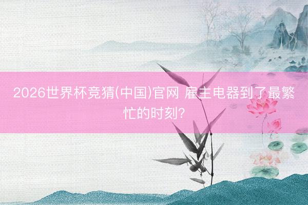 2026世界杯竞猜(中国)官网 雇主电器到了最繁忙的时刻？
