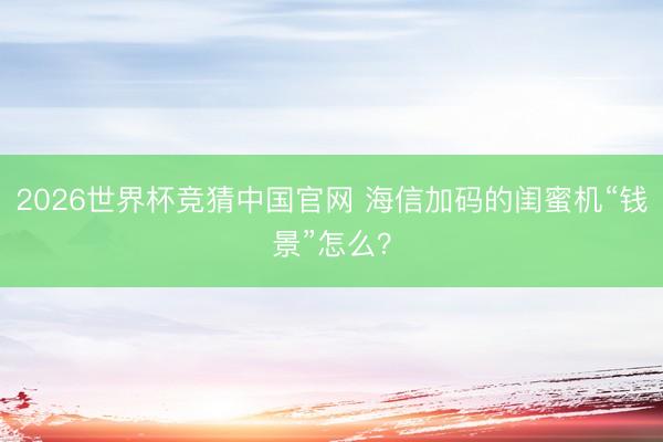 2026世界杯竞猜中国官网 海信加码的闺蜜机“钱景”怎么？