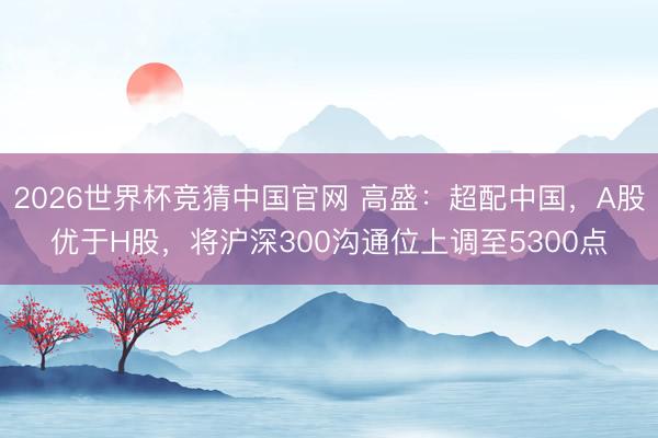 2026世界杯竞猜中国官网 高盛：超配中国，A股优于H股，将沪深300沟通位上调至5300点