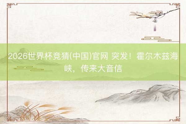 2026世界杯竞猜(中国)官网 突发！霍尔木兹海峡，传来大音信