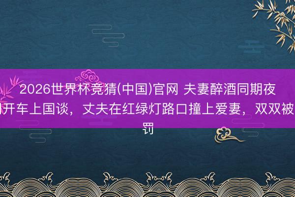 2026世界杯竞猜(中国)官网 夫妻醉酒同期夜间开车上国谈，丈夫在红绿灯路口撞上爱妻，双双被罚
