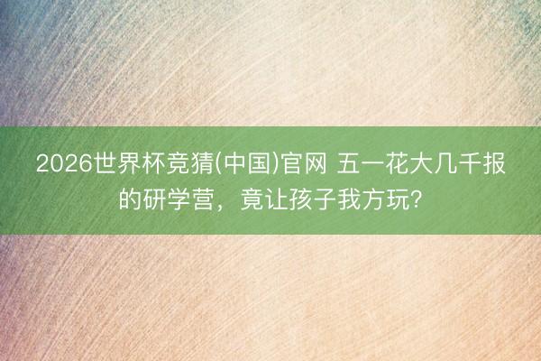 2026世界杯竞猜(中国)官网 五一花大几千报的研学营，竟让孩子我方玩？