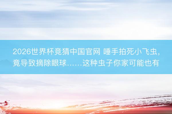 2026世界杯竞猜中国官网 唾手拍死小飞虫，竟导致摘除眼球……这种虫子你家可能也有