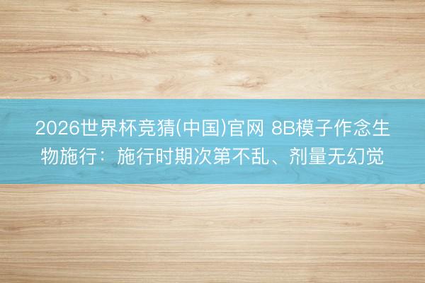 2026世界杯竞猜(中国)官网 8B模子作念生物施行：施行时期次第不乱、剂量无幻觉
