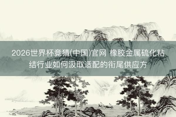 2026世界杯竞猜(中国)官网 橡胶金属硫化粘结行业如何汲取适配的衔尾供应方