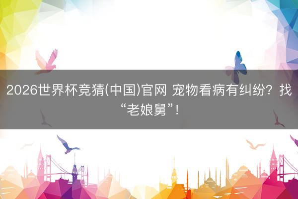 2026世界杯竞猜(中国)官网 宠物看病有纠纷？找“老娘舅”！