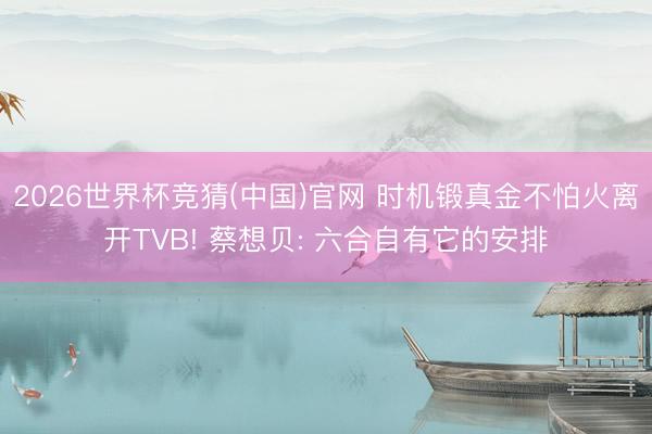 2026世界杯竞猜(中国)官网 时机锻真金不怕火离开TVB! 蔡想贝: 六合自有它的安排