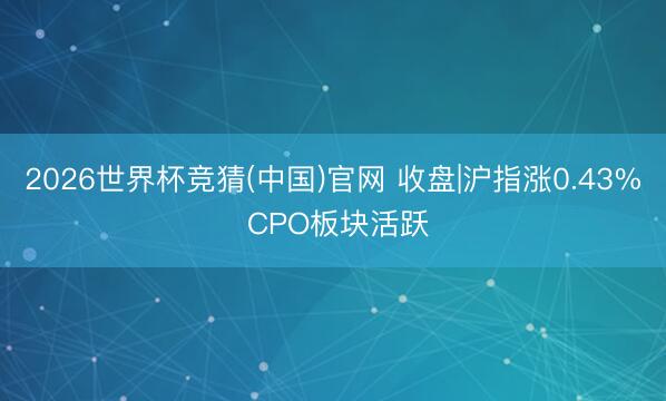 2026世界杯竞猜(中国)官网 收盘|沪指涨0.43% CPO板块活跃