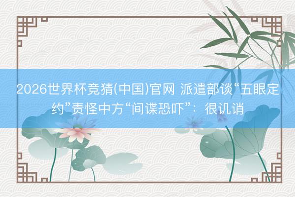 2026世界杯竞猜(中国)官网 派遣部谈“五眼定约”责怪中方“间谍恐吓”：很讥诮