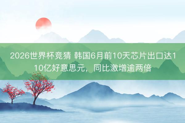 2026世界杯竞猜 韩国6月前10天芯片出口达110亿好意思元，同比激增逾两倍