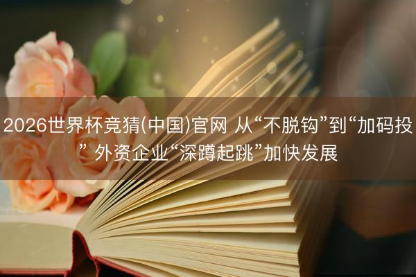 2026世界杯竞猜(中国)官网 从“不脱钩”到“加码投” 外资企业“深蹲起跳”加快发展