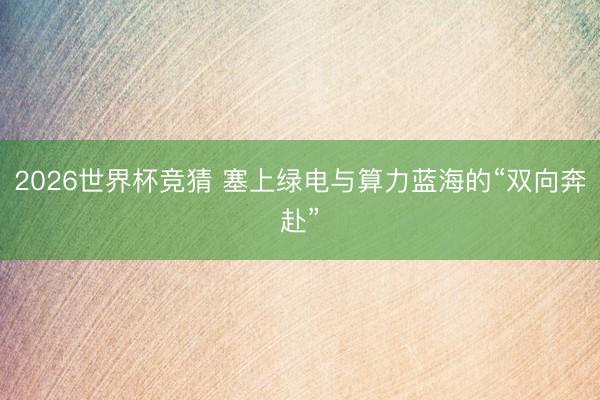2026世界杯竞猜 塞上绿电与算力蓝海的“双向奔赴”