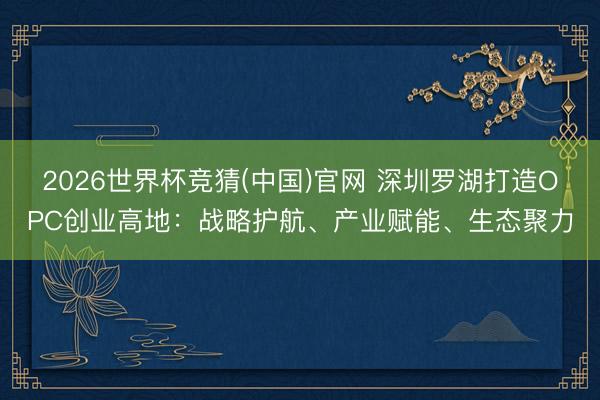 2026世界杯竞猜(中国)官网 深圳罗湖打造OPC创业高地：战略护航、产业赋能、生态聚力